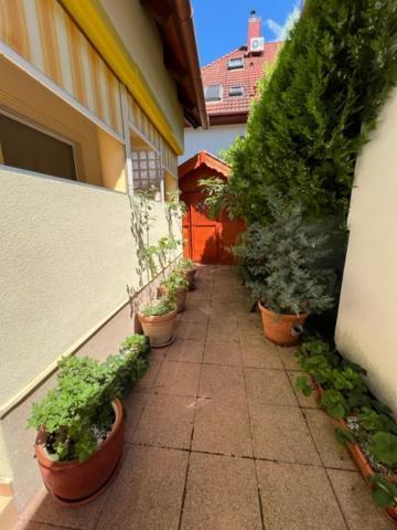 Sofi Appartment Hévíz Extérieur photo